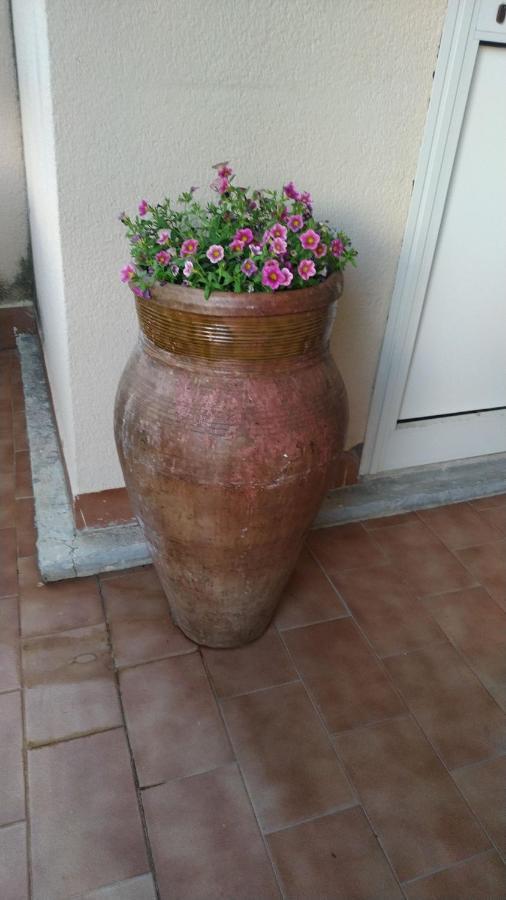 Aspra Al Delfino Blu Apartment Bagheria Bagian luar foto