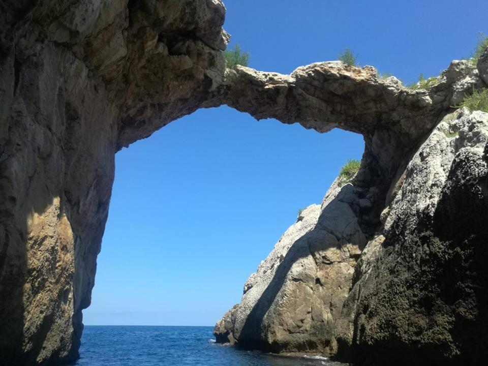 Aspra Al Delfino Blu Apartment Bagheria Bagian luar foto