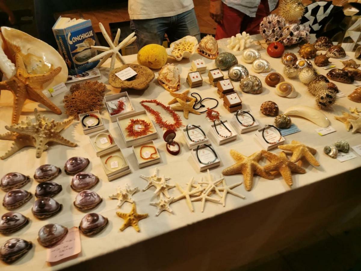 Aspra Al Delfino Blu Apartment Bagheria Bagian luar foto